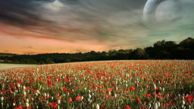 一站式服務，細致周到